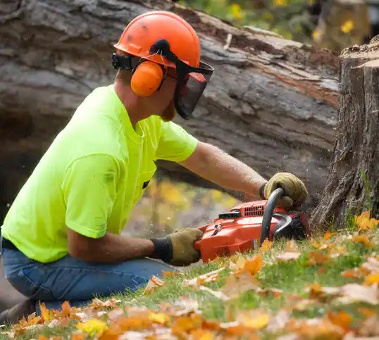 tree services Gang Mills